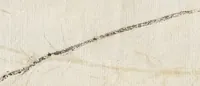An illustration from Recherche curieuses des plantes qui croissent autour de Chantilly (1661)