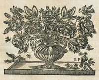 An illustration from Histoire générale des drogues, traitant des plantes, des animaux, & des mineraux ; ouvrage enrichy de plus de quatre cent figures en taille-douce tirées d'aprés nature ; avec un discours qui explique leurs differens noms, les pays d'où elles viennent, la maniere de connoître les veritables d'avec les falsifiées, & leurs proprietez, où l'on découvre l'erreur des anciens & des modernes...par le sieur Pierre Pomet.... (1694)