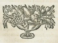 An illustration from Histoire générale des drogues, traitant des plantes, des animaux, & des mineraux ; ouvrage enrichy de plus de quatre cent figures en taille-douce tirées d'aprés nature ; avec un discours qui explique leurs differens noms, les pays d'où elles viennent, la maniere de connoître les veritables d'avec les falsifiées, & leurs proprietez, où l'on découvre l'erreur des anciens & des modernes...par le sieur Pierre Pomet.... (1694)