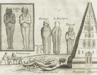 Picture 53 of 63 from Histoire générale des drogues, traitant des plantes, des animaux, & des mineraux ; ouvrage enrichy de plus de quatre cent figures en taille-douce tirées d'aprés nature ; avec un discours qui explique leurs differens noms, les pays d'où elles viennent, la maniere de connoître les veritables d'avec les falsifiées, & leurs proprietez, où l'on découvre l'erreur des anciens & des modernes...par le sieur Pierre Pomet.... (1694), leaf 374