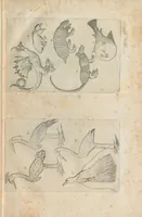 Picture 3 of 9 from Les Oeuvres de Jacques et Paul Contant pere et fils maistres apoticaires de la ville de Poictiers. Divisées en cinq traictez. 1. Les Commentaires sur Dioscoride. 2. Le Second Eden. 3. Exagoge mirabilium naturae è Gazophylacio. 4. Synopsis plantarum cum ethymologiis. 5. Le Jardin & Cabinet poëtique. Avec les figures des plantes en taille douce. (1628), leaf 31