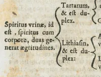 An illustration from Aur. Philip. Theoph. Paracelsi Bombast ab Hohenheim, medici et philosophi celeberrimi, chemicorúmque principis, opera omnia medico-chemico-chirurgica, tribus voluminibus comprehensa. Editio novissima et emendatissima, ad germanica & latina exemplaria accuratissimè collata : variis tractatibus & opusculis summâ hinc inde diligentiâ conquisitis, ut in voluminis primi præfatione indicatur, locupletata : indicibusque exactissimis instructa. Volumen primum, opera medica complectens. (1648)