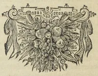 An illustration from Pharmacopoea Spagyrica, sive exacta descriptio, qua ratione ex vegetabilibus, animalibus & mineralibus, modo haud usitato faciliorique, utilia, efficacia, & penetrantia medicamenta fieri praepararique possint. Pars prima[-septima et prima appendix]. In usum afflictissimi generis humani in lucem prolata, per Joannem Rudolphum Glauberum. (1654)