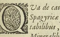 An illustration from Pharmacopoea Spagyrica, sive exacta descriptio, qua ratione ex vegetabilibus, animalibus & mineralibus, modo haud usitato faciliorique, utilia, efficacia, & penetrantia medicamenta fieri praepararique possint. Pars prima[-septima et prima appendix]. In usum afflictissimi generis humani in lucem prolata, per Joannem Rudolphum Glauberum. (1654)