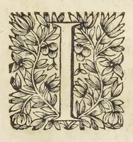An illustration from Remarques sur le livre de l'antimoine de Me Eusebe Renaudot Docteur regent en la faculté de medecine de Paris. Par Jean Merlet escuyer Docteur regent de la mesme Faculté, & un de ses anciens doyens. (1654)