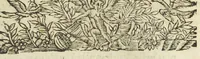An illustration from Les elemens de chymie, de maistre Jean Beguin. Reveus, expliquez, & augmentez, par Jean Lucas de Roy, medecin boleducois. Quatriesme edition. (1637)