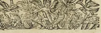 An illustration from Les elemens de chymie, de maistre Jean Beguin. Reveus, expliquez, & augmentez, par Jean Lucas de Roy, medecin boleducois. Quatriesme edition. (1637)