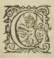 An illustration from Philosophia pyrotechnica. Wilielmi Davissoni, nobilis Scoti, doctoris medici. Seu Cursus chymiatricus, nobilissima illa & exoptatissima medicinæ parte pyrotechnica instructus… (1640)