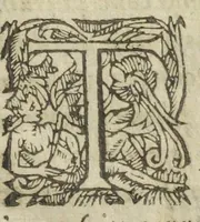 An illustration from Philosophia pyrotechnica. Wilielmi Davissoni, nobilis Scoti, doctoris medici. Seu Cursus chymiatricus, nobilissima illa & exoptatissima medicinæ parte pyrotechnica instructus… (1640)