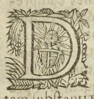 Picture 11 of 20 from Philosophia pyrotechnica. Wilielmi Davissoni, nobilis Scoti, doctoris medici. Seu Cursus chymiatricus, nobilissima illa & exoptatissima medicinæ parte pyrotechnica instructus… (1640), leaf 521