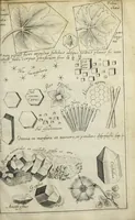 An illustration from Philosophia pyrotechnica. Wilielmi Davissoni, nobilis Scoti, doctoris medici. Seu Cursus chymiatricus, nobilissima illa & exoptatissima medicinæ parte pyrotechnica instructus… (1640)