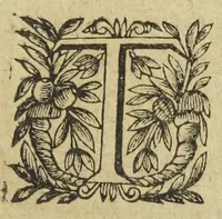 Picture 11 of 41 from L'abregé des secrets chymiques ou l'on void la nature des animaux vegetaux & mineraux entierement découverte : avec les vertus et proprietez des principes qui composent & conservent leur estre; & un traitté de la medecine generale. Par M. Pierre Jean Fabre, docteur en la faculté de medecine de l'université de Montpellier. (1636), leaf 135
