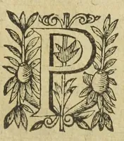 An illustration from L'abregé des secrets chymiques ou l'on void la nature des animaux vegetaux & mineraux entierement découverte : avec les vertus et proprietez des principes qui composent & conservent leur estre; & un traitté de la medecine generale. Par M. Pierre Jean Fabre, docteur en la faculté de medecine de l'université de Montpellier. (1636)