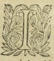 An illustration from L'abregé des secrets chymiques ou l'on void la nature des animaux vegetaux & mineraux entierement découverte : avec les vertus et proprietez des principes qui composent & conservent leur estre; & un traitté de la medecine generale. Par M. Pierre Jean Fabre, docteur en la faculté de medecine de l'université de Montpellier. (1636)