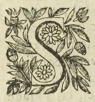 An illustration from L'abregé des secrets chymiques ou l'on void la nature des animaux vegetaux & mineraux entierement découverte : avec les vertus et proprietez des principes qui composent & conservent leur estre; & un traitté de la medecine generale. Par M. Pierre Jean Fabre, docteur en la faculté de medecine de l'université de Montpellier. (1636)