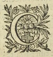 An illustration from L'abregé des secrets chymiques ou l'on void la nature des animaux vegetaux & mineraux entierement découverte : avec les vertus et proprietez des principes qui composent & conservent leur estre; & un traitté de la medecine generale. Par M. Pierre Jean Fabre, docteur en la faculté de medecine de l'université de Montpellier. (1636)