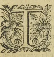 An illustration from L'abregé des secrets chymiques ou l'on void la nature des animaux vegetaux & mineraux entierement découverte : avec les vertus et proprietez des principes qui composent & conservent leur estre; & un traitté de la medecine generale. Par M. Pierre Jean Fabre, docteur en la faculté de medecine de l'université de Montpellier. (1636)