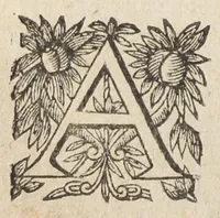 Picture 18 of 39 from L'abregé des secrets chymiques ou l'on void la nature des animaux vegetaux & mineraux entierement découverte : avec les vertus et proprietez des principes qui composent & conservent leur estre; & un traitté de la medecine generale. Par M. Pierre Jean Fabre, docteur en la faculté de medecine de l'université de Montpellier. (1636), leaf 206