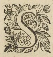 An illustration from L'abregé des secrets chymiques ou l'on void la nature des animaux vegetaux & mineraux entierement découverte : avec les vertus et proprietez des principes qui composent & conservent leur estre; & un traitté de la medecine generale. Par M. Pierre Jean Fabre, docteur en la faculté de medecine de l'université de Montpellier. (1636)