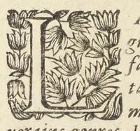 An illustration from Les sept livres de la therapeutique universelle de Messire Jean Fernel, premier medecine de Henry II, & docteur regent en medecine de la faculté de Paris. Ouvrage tres-utiles & necessaire, pour l'usage & la pratique de la medecine dogmatique. Mis en françois, par le sieur Du Teil. (1650)
