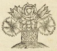 An illustration from Les sept livres de la therapeutique universelle de Messire Jean Fernel, premier medecine de Henry II, & docteur regent en medecine de la faculté de Paris. Ouvrage tres-utiles & necessaire, pour l'usage & la pratique de la medecine dogmatique. Mis en françois, par le sieur Du Teil. (1650)