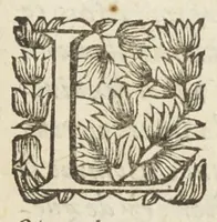 An illustration from Les sept livres de la therapeutique universelle de Messire Jean Fernel, premier medecine de Henry II, & docteur regent en medecine de la faculté de Paris. Ouvrage tres-utiles & necessaire, pour l'usage & la pratique de la medecine dogmatique. Mis en françois, par le sieur Du Teil. (1650)