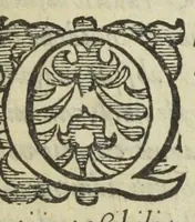 An illustration from Furni novi philosophici, sive Descriptio artis destillatoriae novæ ; spirituum, oleorum florum, aliorumque medicamentorum illius beneficio facillimâ quâdam & peculiari viâ è vegetabilibus, animalibus, & mineralibus, conficiendorum & quidem magno cum lucro ; agens quoque de illorum usu tam chymico quàm medico, edita & publicata ub gratiam veritatis studiosorum. Per Joannem Rudolphum Glauberum. (1658)