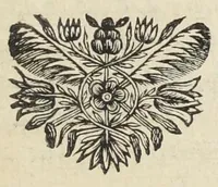 An illustration from La nouvelle découverte, et les admirables effets des fermens dans le corps humain, expliquez par des experiences & des raisonnemens très solides. Par le sieur Jean Pascal, docteur en medecine (1681)