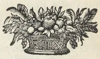 An illustration from Traité de la circulation des esprits animaux. Divisé en quatre parties. Par un religieux de la Congregation de Saint-Maur. (1682)