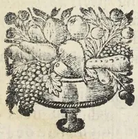 An illustration from Traité de la circulation des esprits animaux. Divisé en quatre parties. Par un religieux de la Congregation de Saint-Maur. (1682)