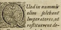 An illustration from Jodoci Lommii, medici olim Bruxellensis celeberrimi, Observationum medicinalium libri tres, quibus omnibus morborum signa, & quæ de his haberi possunt praesagia, accuratissime per tractantur, opusculum aureum, bactenus desideratum, hinc postliminro ab interitu vindicatum, & emaculatiùs quàm antè lucidatum : ex musæo Bernh. Rottendorff, Reipubl. Monast. Archiatri, &c. Nunc denuo editum cum præfatione Georgii Wolffgangi Wedelii. (1688)