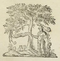 An illustration from Joannis Baptistæ Van Helmont, toparchæ in Royenboch, Pellines, &c. Opvscvla medica inavdita, I. De Lithiasi, II. De Febribus, III. De Humoribus Galeni, IV. De Peste. Editio secunda multò emendatior (1648)