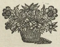 An illustration from Traicté pour la conservation de la santé, et sur la saignee de ce temps, et moyen de remedier aux maladies sans craincte de leur recheute ; avec autres traictez necessaires pour toutes sortes de personnes, en façon & ordre non encore veus, & selon la doctrine des anciens medecins grecs, arabes, latins & françois. ‎Augmenté d'un traicté de Galien, de l'alictement des malades. Apologie contre Jean Terud, fils de Louys, medecin de Paris. Examen du livre intitulé Medecin charitable. Traicté de la physiognomie, avec les figures propres, qui sont au nombre de 53. Dedié à Messieurs les Parisiens, & pourquoy ? Par David L'Aigneau provençal, conseiller & medecin ordinaire du Roy. Troisiesme edition, fort augmentée, vires acquirit eundo. (1650)