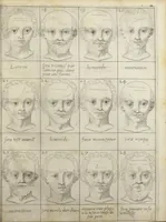 An illustration from Traicté pour la conservation de la santé, et sur la saignee de ce temps, et moyen de remedier aux maladies sans craincte de leur recheute ; avec autres traictez necessaires pour toutes sortes de personnes, en façon & ordre non encore veus, & selon la doctrine des anciens medecins grecs, arabes, latins & françois. ‎Augmenté d'un traicté de Galien, de l'alictement des malades. Apologie contre Jean Terud, fils de Louys, medecin de Paris. Examen du livre intitulé Medecin charitable. Traicté de la physiognomie, avec les figures propres, qui sont au nombre de 53. Dedié à Messieurs les Parisiens, & pourquoy ? Par David L'Aigneau provençal, conseiller & medecin ordinaire du Roy. Troisiesme edition, fort augmentée, vires acquirit eundo. (1650)