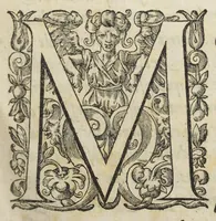 An illustration from Le Cours de médecine en francois, contenant le Miroir de beauté et santé corporelle. Par M. Louys Guyon Dolois, Sieur de la Nauche, Docteur en medecine. Et la Théorie avec un accomplissement de practique selon les principes tant dogmatiques, que chymiques, adjoustées à cette quatriesme edition. Avec une infinité d'observations, secrets & experiences, suivant la doctrine, tant des anciens que des modernes medecins, qui ont inventé & decouvert la circulation du sang, les veines lactées, leur receptacle, les vases lymphées, & autres nouveautez anatomiques & spagyriques : inconnues auparavant. A l'usage des medecins, chirurgiens, apothicaires, & autres ; Et utile aux communautez, hospitaux, & maison de campagne. Par M. Lazare Meyssonnier conseiller & medecin ordinaire du Roy, & de S.A.R. docteur de l'université de Montpellier, & professeur aggregé au College des medecins à Lyon. Où ont esté jointes les figures des plantes necessaires, & celles de l'anatomie en taille douce, pour se servir utilement de ce livre. (1664)