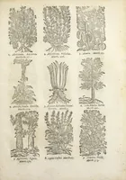 An illustration from Le Cours de médecine en francois, contenant le Miroir de beauté et santé corporelle. Par M. Louys Guyon Dolois, Sieur de la Nauche, Docteur en medecine. Et la Théorie avec un accomplissement de practique selon les principes tant dogmatiques, que chymiques, adjoustées à cette quatriesme edition. Avec une infinité d'observations, secrets & experiences, suivant la doctrine, tant des anciens que des modernes medecins, qui ont inventé & decouvert la circulation du sang, les veines lactées, leur receptacle, les vases lymphées, & autres nouveautez anatomiques & spagyriques : inconnues auparavant. A l'usage des medecins, chirurgiens, apothicaires, & autres ; Et utile aux communautez, hospitaux, & maison de campagne. Par M. Lazare Meyssonnier conseiller & medecin ordinaire du Roy, & de S.A.R. docteur de l'université de Montpellier, & professeur aggregé au College des medecins à Lyon. Où ont esté jointes les figures des plantes necessaires, & celles de l'anatomie en taille douce, pour se servir utilement de ce livre. (1664)