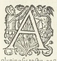 An illustration from Dispensatorium medicum, continens Institutionum pharmaceuticarum lib. V. De materia medica lib. III. Pharmacopoeam itidem sive Antidotarium varium & absolutissimum, auctore Joan. Renodæo Medic. Paris. Regio. Opus hac tertia editione ab auctore infinitis locis emendatum & immutatum, tertia plusquam parte auctum, ac suis indicibus necessariis instructum. Cui accessit Nicolai Epiphanii med. nobiliss. Pharmacon. Empirica. (1623)