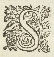 An illustration from Dispensatorium medicum, continens Institutionum pharmaceuticarum lib. V. De materia medica lib. III. Pharmacopoeam itidem sive Antidotarium varium & absolutissimum, auctore Joan. Renodæo Medic. Paris. Regio. Opus hac tertia editione ab auctore infinitis locis emendatum & immutatum, tertia plusquam parte auctum, ac suis indicibus necessariis instructum. Cui accessit Nicolai Epiphanii med. nobiliss. Pharmacon. Empirica. (1623)