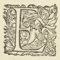 An illustration from Dispensatorium medicum, continens Institutionum pharmaceuticarum lib. V. De materia medica lib. III. Pharmacopoeam itidem sive Antidotarium varium & absolutissimum, auctore Joan. Renodæo Medic. Paris. Regio. Opus hac tertia editione ab auctore infinitis locis emendatum & immutatum, tertia plusquam parte auctum, ac suis indicibus necessariis instructum. Cui accessit Nicolai Epiphanii med. nobiliss. Pharmacon. Empirica. (1623)