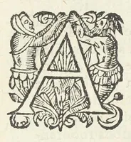 An illustration from Dispensatorium medicum, continens Institutionum pharmaceuticarum lib. V. De materia medica lib. III. Pharmacopoeam itidem sive Antidotarium varium & absolutissimum, auctore Joan. Renodæo Medic. Paris. Regio. Opus hac tertia editione ab auctore infinitis locis emendatum & immutatum, tertia plusquam parte auctum, ac suis indicibus necessariis instructum. Cui accessit Nicolai Epiphanii med. nobiliss. Pharmacon. Empirica. (1623)