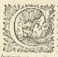 An illustration from Dispensatorium medicum, continens Institutionum pharmaceuticarum lib. V. De materia medica lib. III. Pharmacopoeam itidem sive Antidotarium varium & absolutissimum, auctore Joan. Renodæo Medic. Paris. Regio. Opus hac tertia editione ab auctore infinitis locis emendatum & immutatum, tertia plusquam parte auctum, ac suis indicibus necessariis instructum. Cui accessit Nicolai Epiphanii med. nobiliss. Pharmacon. Empirica. (1623)