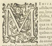 An illustration from Dispensatorium medicum, continens Institutionum pharmaceuticarum lib. V. De materia medica lib. III. Pharmacopoeam itidem sive Antidotarium varium & absolutissimum, auctore Joan. Renodæo Medic. Paris. Regio. Opus hac tertia editione ab auctore infinitis locis emendatum & immutatum, tertia plusquam parte auctum, ac suis indicibus necessariis instructum. Cui accessit Nicolai Epiphanii med. nobiliss. Pharmacon. Empirica. (1623)