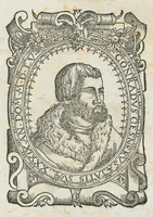 An illustration from Historiae animalium Liber III qui est de avium natura. Adjecti sunt ab initio indices alphabetici decem super nominibus avium in totidem linguis diversis : & ante illos enumeratio avium eo ordine quo in hoc volumine continentur (1555)