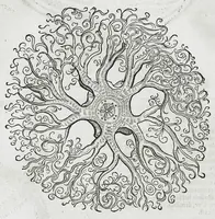 An illustration from Conradi Gesneri medici Tigurini Historiæ animalium liber IIII. Qui est de Piscium & aquatilium animantium natura. Cum iconibus singulorum ad uiuum expressis fere omnib. DCCVI. Continentur in hoc uolumine Gulielmi Rondeletij quoq[ue] medicinæ professoris regij in Schola Monspeliensi et Petri Bellonij Cenomani, medici hoc tempore Lutetiæ eximij, de aquatilium singulis scripta (1558)