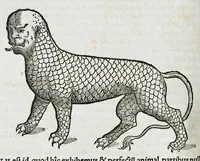 An illustration from Conradi Gesneri medici Tigurini Historiæ animalium liber IIII. Qui est de Piscium & aquatilium animantium natura. Cum iconibus singulorum ad uiuum expressis fere omnib. DCCVI. Continentur in hoc uolumine Gulielmi Rondeletij quoq[ue] medicinæ professoris regij in Schola Monspeliensi et Petri Bellonij Cenomani, medici hoc tempore Lutetiæ eximij, de aquatilium singulis scripta (1558)