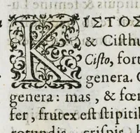 An illustration from Historia generalis plantarum : in libros XVIII per certas classes artificiose digesta, Haec plusquam mille imaginibus plantarum locupletior superioribus, omnes propemodum quae ab antiquis scriptoribus, Graecis, Latinis, Arabibus, nominantur: necnon eas quae in orientis atque Occidentis partibus, ante seculum nostrum incognitis, repertae fuerunt, tibi exhibet ; habes etiam earundem plantarum peculiaria diversis nationibus nomina: habes amplas descriptiones, è quibus singularum genus, formam, ubi crescant et quo tempore vigeant, natiorum temperamentum, vires denique in Medicina proprias cognosces. (1587)