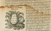 An illustration from Historia generalis plantarum : in libros XVIII per certas classes artificiose digesta, Haec plusquam mille imaginibus plantarum locupletior superioribus, omnes propemodum quae ab antiquis scriptoribus, Graecis, Latinis, Arabibus, nominantur: necnon eas quae in orientis atque Occidentis partibus, ante seculum nostrum incognitis, repertae fuerunt, tibi exhibet ; habes etiam earundem plantarum peculiaria diversis nationibus nomina: habes amplas descriptiones, è quibus singularum genus, formam, ubi crescant et quo tempore vigeant, natiorum temperamentum, vires denique in Medicina proprias cognosces. (1586)