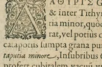An illustration from Historia generalis plantarum : in libros XVIII per certas classes artificiose digesta, Haec plusquam mille imaginibus plantarum locupletior superioribus, omnes propemodum quae ab antiquis scriptoribus, Graecis, Latinis, Arabibus, nominantur: necnon eas quae in orientis atque Occidentis partibus, ante seculum nostrum incognitis, repertae fuerunt, tibi exhibet ; habes etiam earundem plantarum peculiaria diversis nationibus nomina: habes amplas descriptiones, è quibus singularum genus, formam, ubi crescant et quo tempore vigeant, natiorum temperamentum, vires denique in Medicina proprias cognosces. (1586)