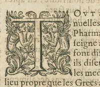 An illustration from Les oeuvres pharmaceutiques du Sr Jean de Renou, conseiller & medecin du roy à Paris : augmentées d'un tiers en cette seconde edition par l'auteur : puis traduittes, embellies de plusieurs figures necessaires à la cognoissance de la medecine & pharmacie, & mises en lumière par M. Louys de Serres dauphinois, docteur en medecine, & aggregé à Lyon. [Suivi de :] Boutique pharmaceutique, ou Antidotaire, distingué en deux parties : la premiere desquelles traicte des medicamens interieurs, & la seconde des exterieurs. Avec une fort briefve, & tres-utile introduction pour tous ceux qui desireront avoir une particuliere entrée en la cognoissance de la pharmacie. Le tout premierement composé en latin, & mis en lumiere par le sieur Jean de Renou, conseiller & medecin du Roy, à Paris. Puis traduit en françois, illustré & augmenté d'un tiers en ceste seconde edition par Mr. Louys de Serres Dauphinois, D. en medecine, & aggregé à Lyon. (1637)