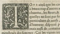 An illustration from Les oeuvres pharmaceutiques du Sr Jean de Renou, conseiller & medecin du roy à Paris : augmentées d'un tiers en cette seconde edition par l'auteur : puis traduittes, embellies de plusieurs figures necessaires à la cognoissance de la medecine & pharmacie, & mises en lumière par M. Louys de Serres dauphinois, docteur en medecine, & aggregé à Lyon. [Suivi de :] Boutique pharmaceutique, ou Antidotaire, distingué en deux parties : la premiere desquelles traicte des medicamens interieurs, & la seconde des exterieurs. Avec une fort briefve, & tres-utile introduction pour tous ceux qui desireront avoir une particuliere entrée en la cognoissance de la pharmacie. Le tout premierement composé en latin, & mis en lumiere par le sieur Jean de Renou, conseiller & medecin du Roy, à Paris. Puis traduit en françois, illustré & augmenté d'un tiers en ceste seconde edition par Mr. Louys de Serres Dauphinois, D. en medecine, & aggregé à Lyon. (1637)